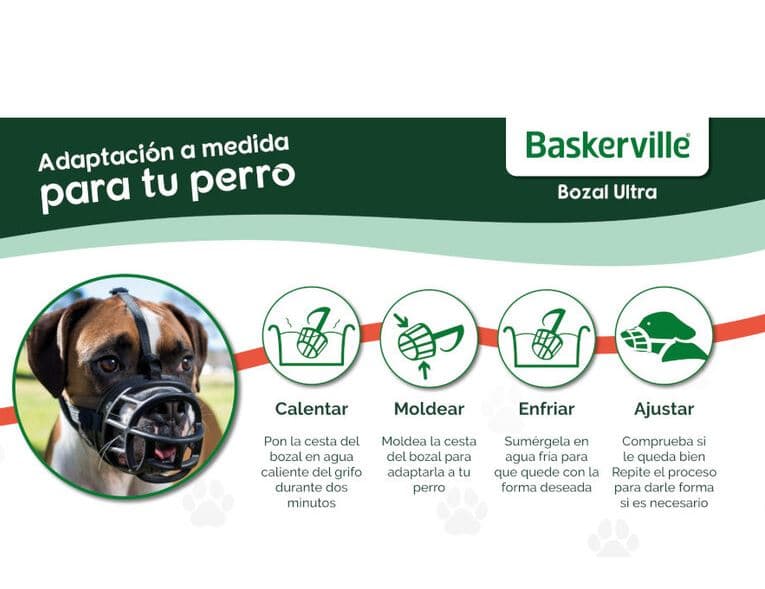Baskerville — imagen 4
