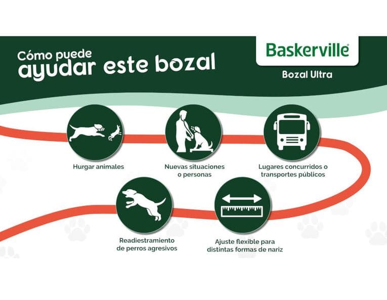 Baskerville — imagen 5