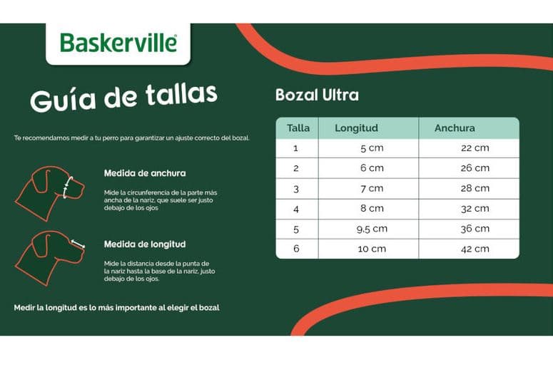 Baskerville — imagen 6