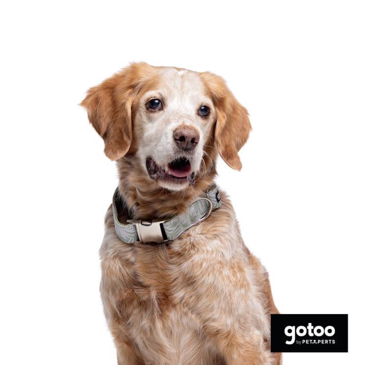 Collar estampado de hojas — imagen 2