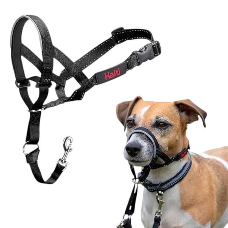 Halti collar con bozal de tela negro para perros — imagen 2
