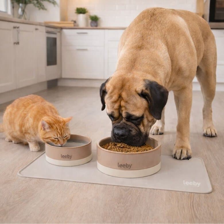 Leeby Alfombrilla Antideslizante Comederos para perros y gatos