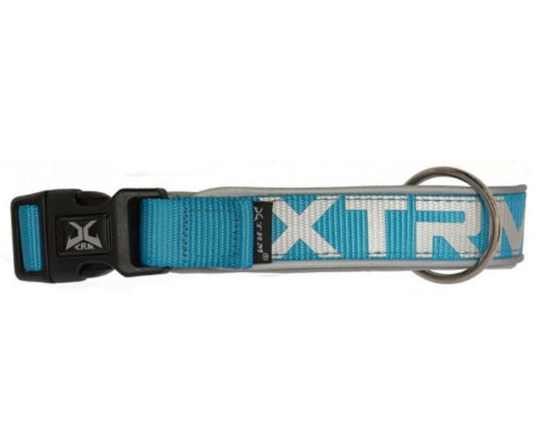 X-TRM Neon Flash Collar Azul